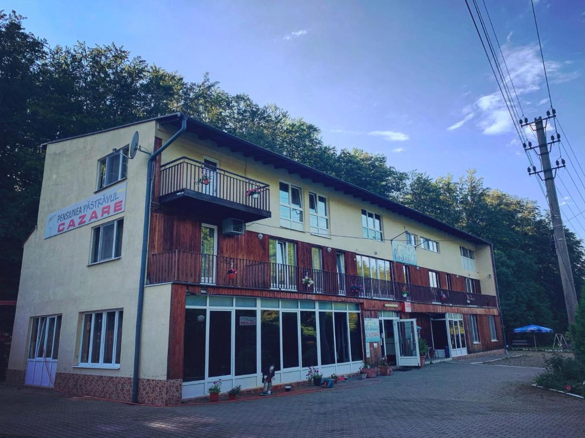 Hotel Pensiunea Pastravul Cîrţişoara Exterior foto