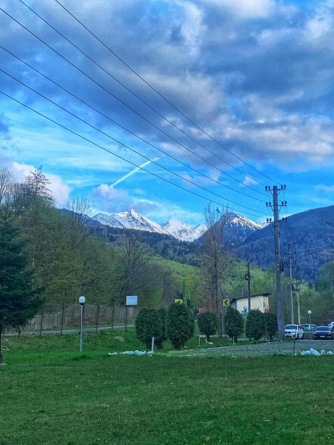Hotel Pensiunea Pastravul Cîrţişoara Exterior foto
