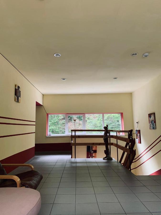 Hotel Pensiunea Pastravul Cîrţişoara Exterior foto