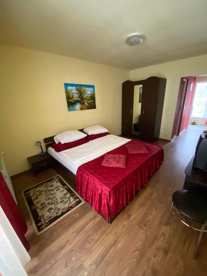 Hotel Pensiunea Pastravul Cîrţişoara Exterior foto