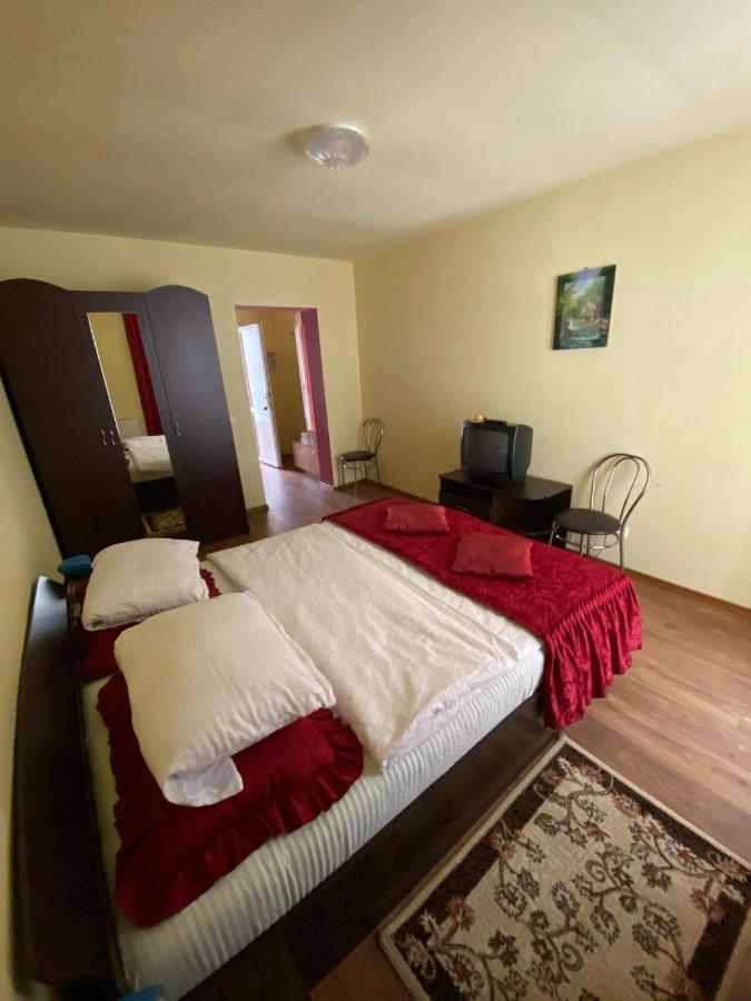 Hotel Pensiunea Pastravul Cîrţişoara Exterior foto
